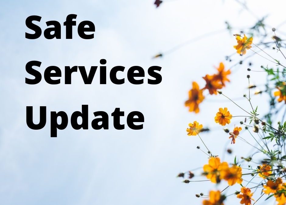 Yellow flowers against a bright sky. Text in bold black reads: Safe Services Update.
