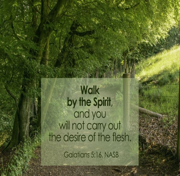 A sunny wooded path. In a light green box we see the words of Galatians 5, verse 16: Walk by the Spirit, and you will not carry out the desire of the flesh.