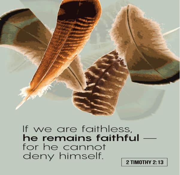 On a gray background, we see several scattered brown and white feathers, and the words of Second Timothy Chapter 2, Verse 13: If we are faithless, He remains faithful, for He cannot deny Himself.