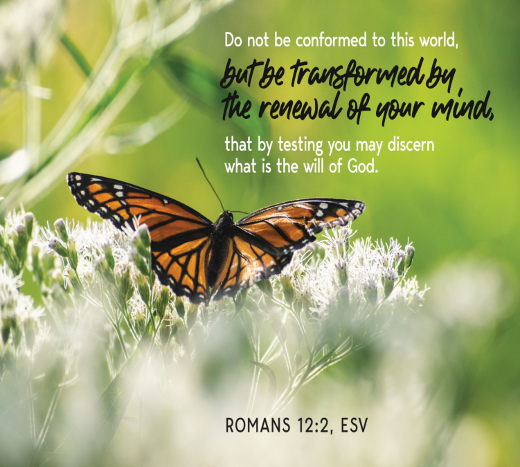 A monarch butterfly on a white flowers in a green field. In black and white lettering we see the words of Romans 12:2 from the English Standard Version: Do not be conformed to this world, but be transformed by the renewal of your mind, that by testing you may discern what is the will of God, what is good and acceptable and perfect.