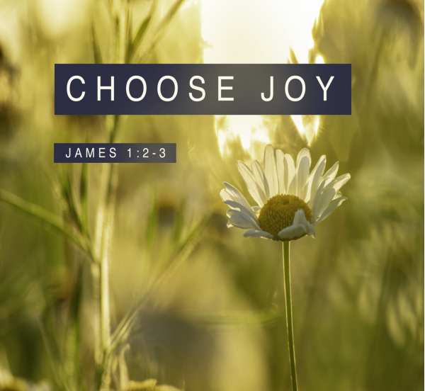 A green field. most of it is out of focus, but a daisy in the foreground is in sharp focus. On two black bands, white letters read "Choose Joy, James 1:2-3."