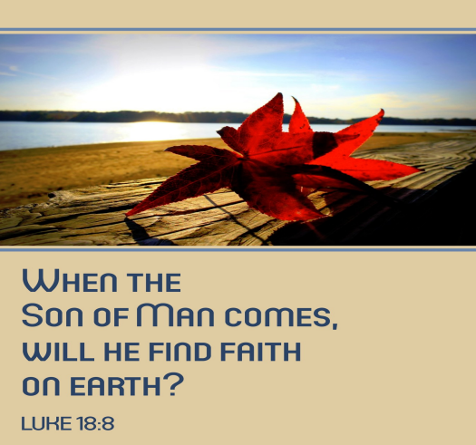 Bright red fall leaves rest on a piece of driftwood. In the far distance is a beautiful lake. The lower half of the graphic has the words of Luke chapter 18, verse 8: When the Son of Man comes, will He find faith on the earth?