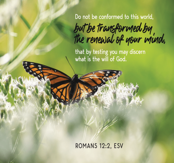 Upcoming Events & Announcements for March 19, 2026