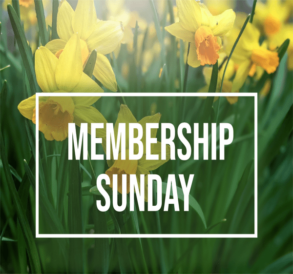 Upcoming Events & Announcements for April 16, 2026